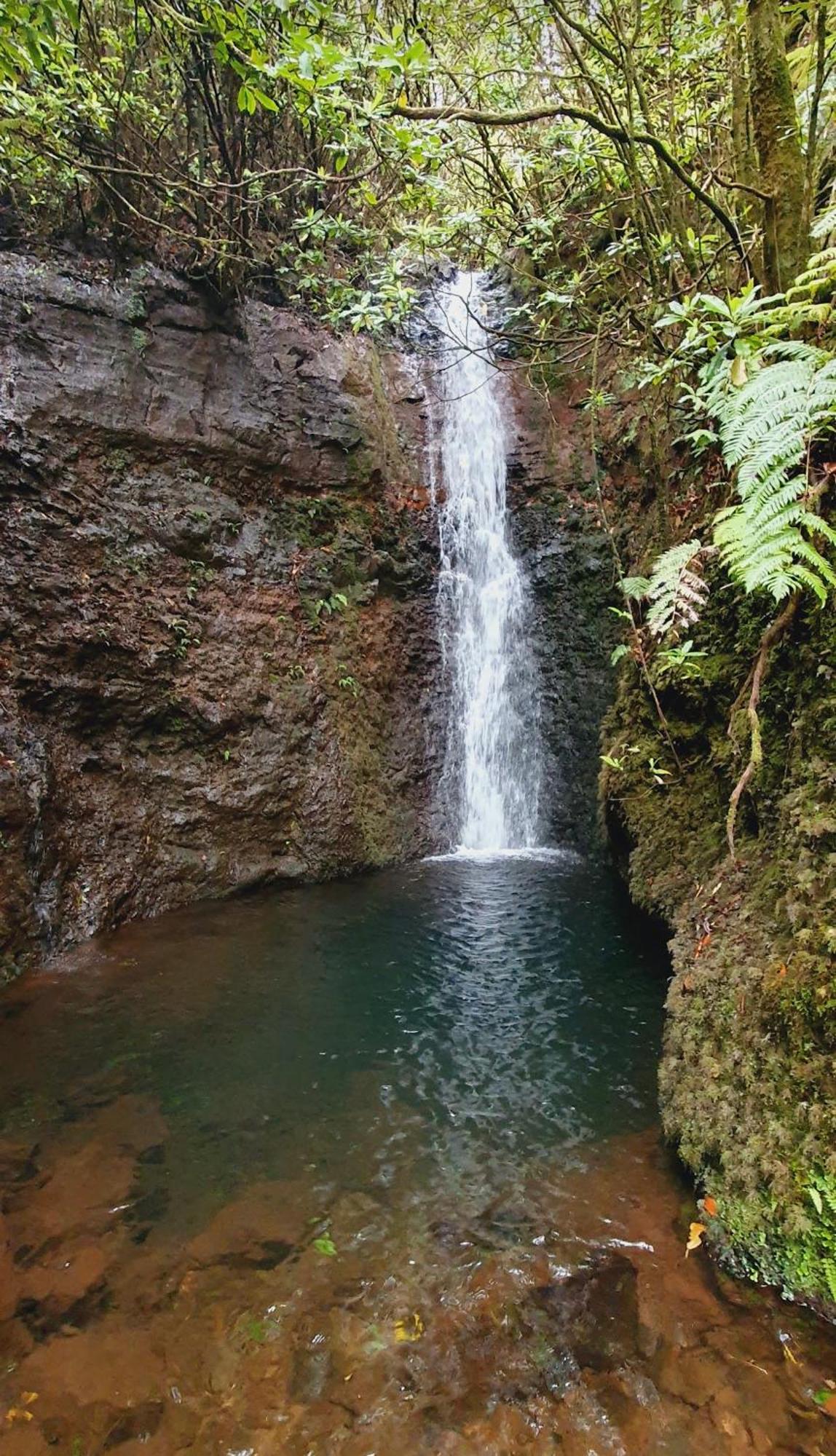 Achadas Nature Suite Achadas da Cruz Kültér fotó